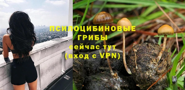 ALPHA-PVP Новозыбков