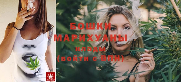 дмт Новодвинск