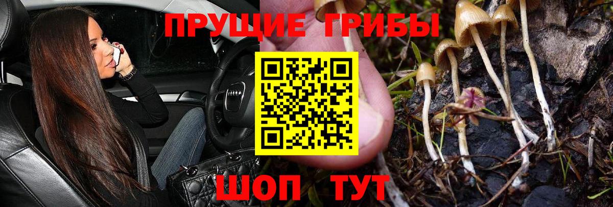 ГАШ  Вход с VPN  Лангепас  Каннабис  COCAIN  Мяу-Мяу  Марихуана  A PVP 