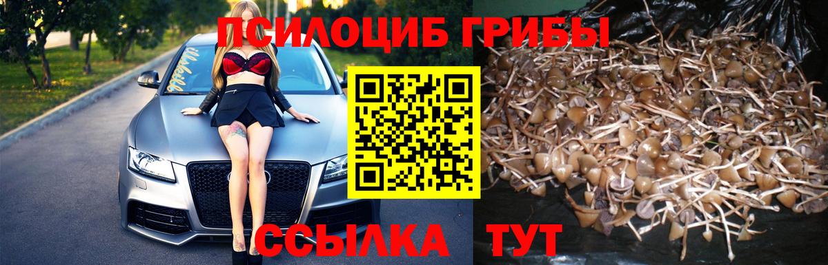 Лангепас  Галлюциногенные грибы ЛСД  Псилоцибиновые грибы Magic Shrooms  Вход с VPN 